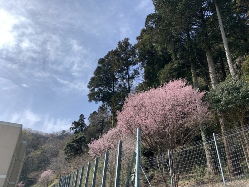 愛川聖苑　火葬式プラン